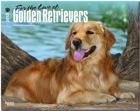 for the love of golden retrievers multilingual edition Kindle Editon